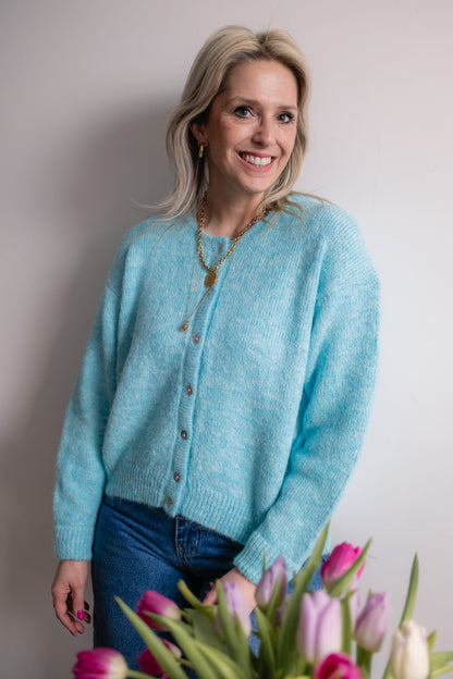 Milou cardigan skyblue